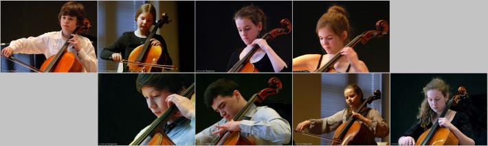 2013 cello 01